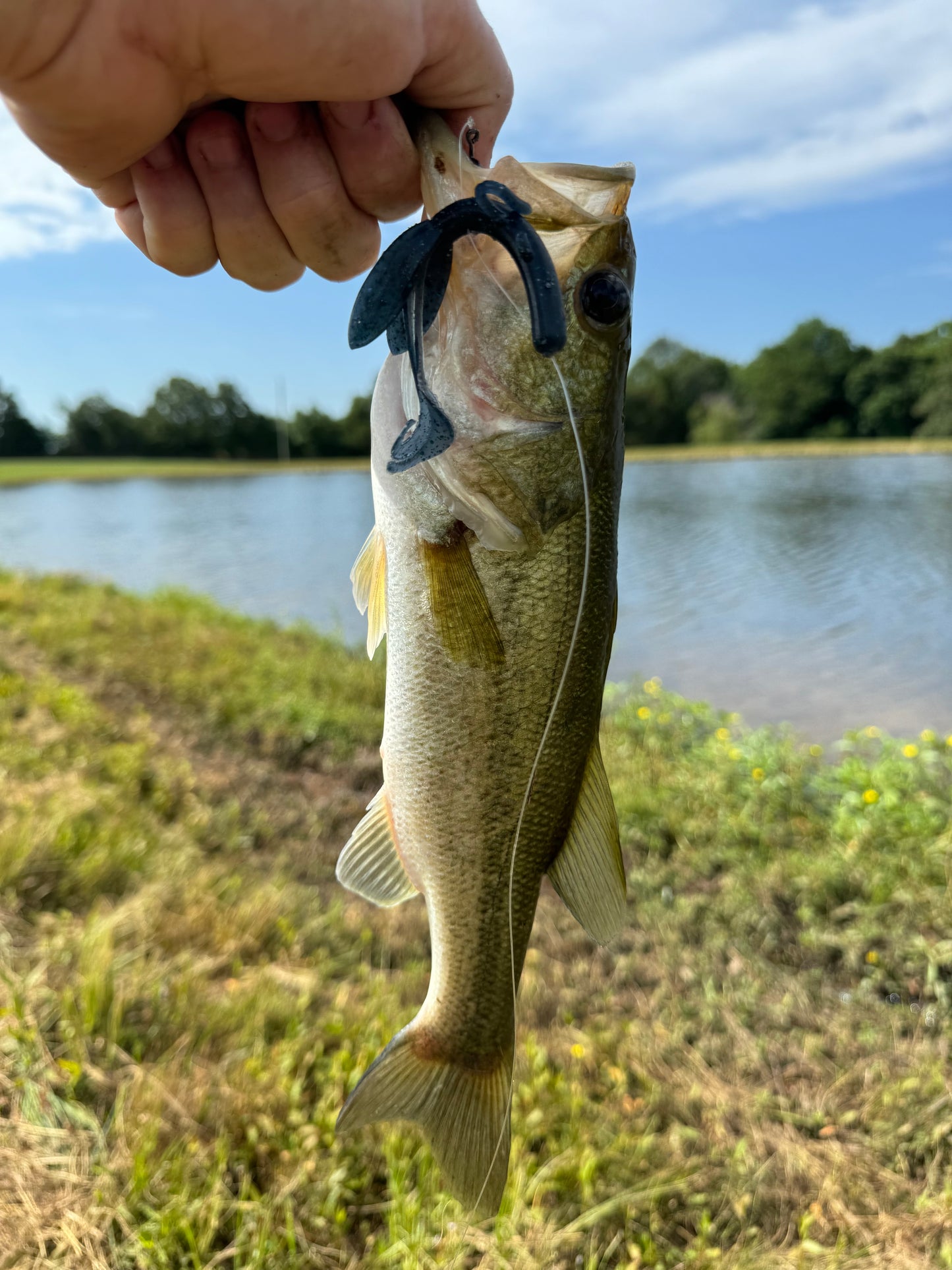 4" Brush Hogs